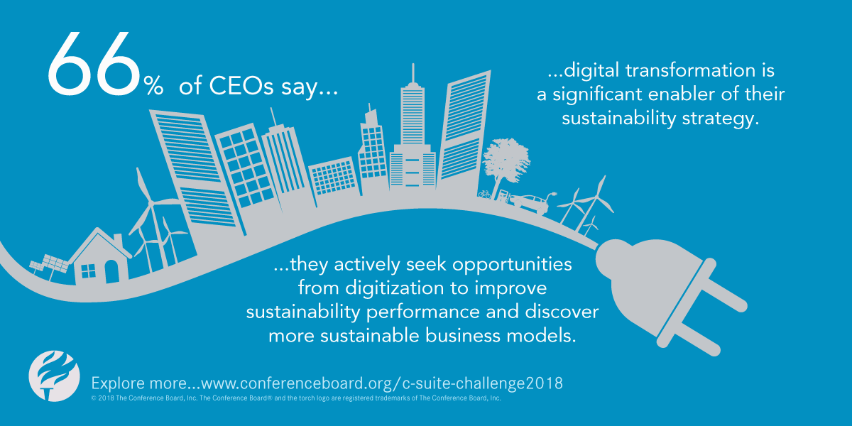 CEOs and sustainability