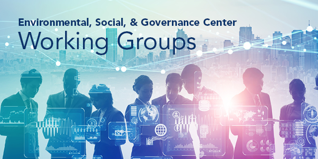 ESG Center Working Groups