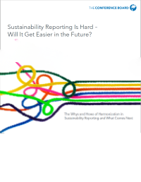 Sustainability Reporting Is Hard—Will It Get Easier in the Future?