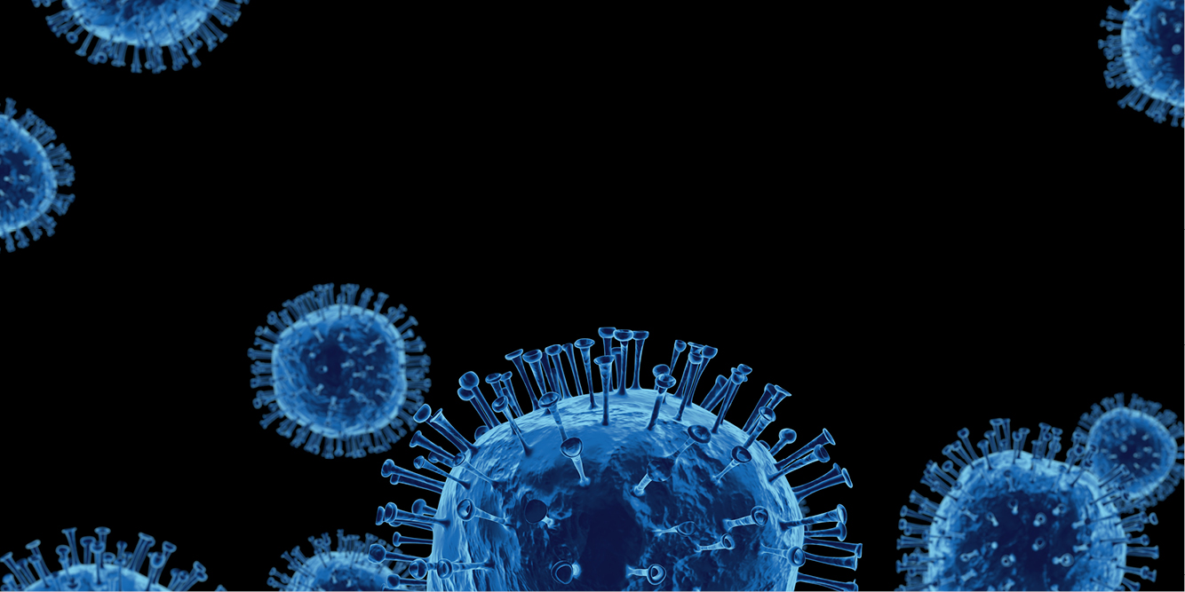Coronavirus Crisis: Assessing Economic Impacts